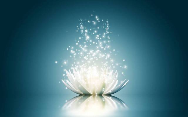 curs avansat 12 februarie