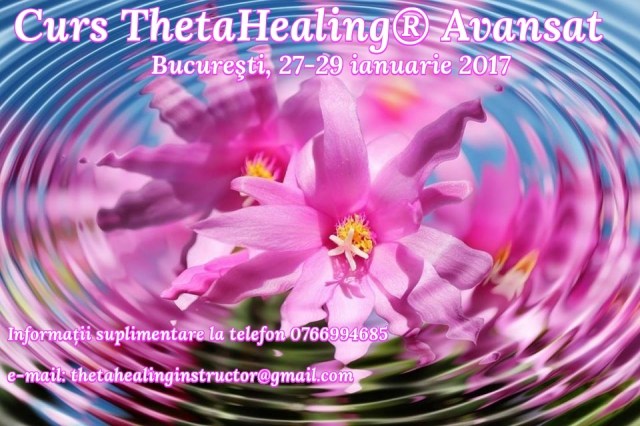 curs avansat 27.01.2017.jpg