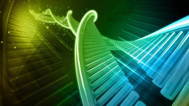 Avansat Arad 7 iunie 2019