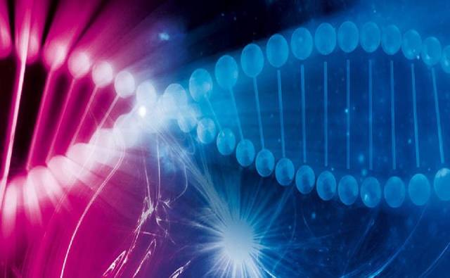 sesiune practica Bucuresti 4 decembrie 2019